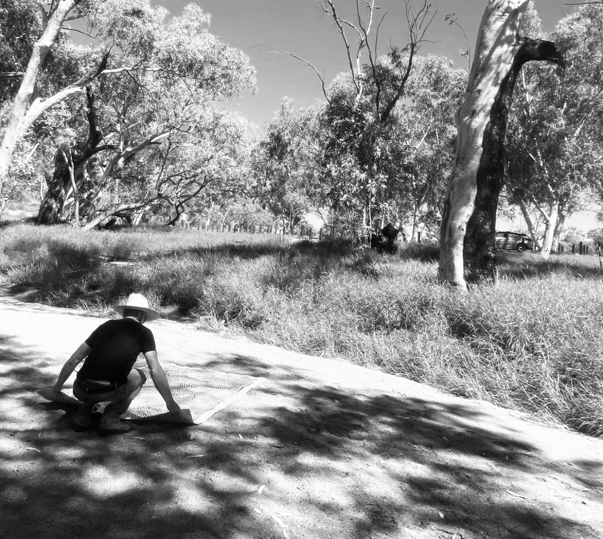 Aboriginal Art Indigenous Art Australia